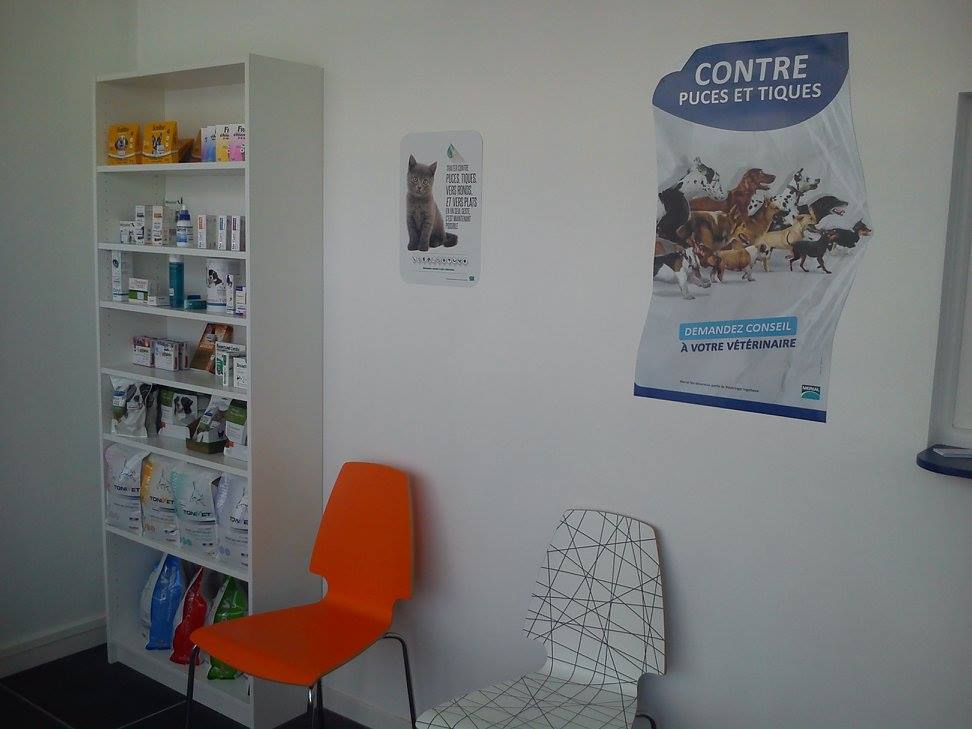 <h1>Salle d'attente</h1>